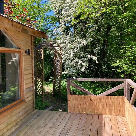 Honey Bee Cabin Llandysul المظهر الخارجي الصورة