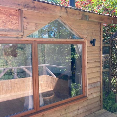 Honey Bee Cabin Llandysul المظهر الخارجي الصورة