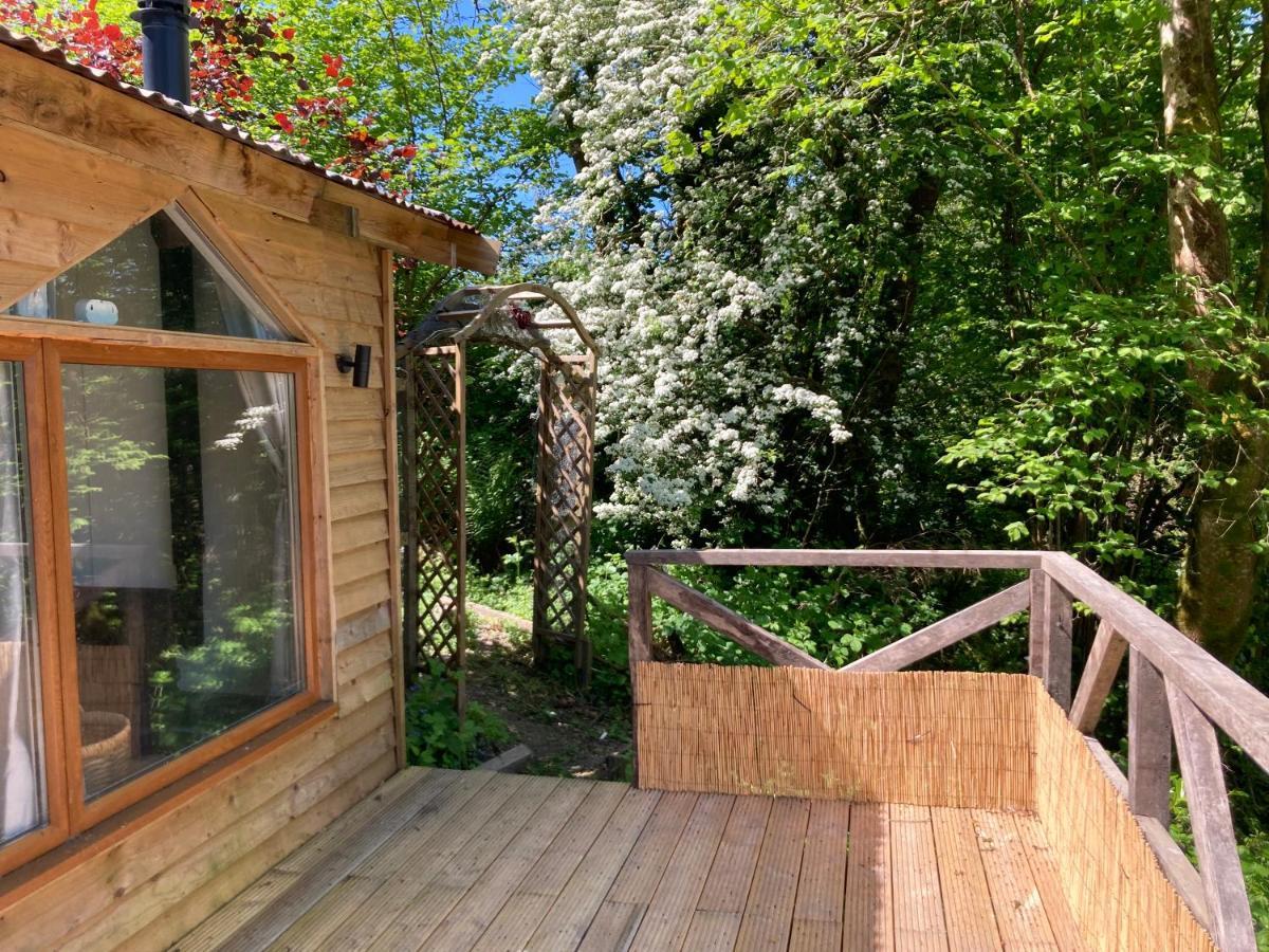 Honey Bee Cabin Llandysul المظهر الخارجي الصورة