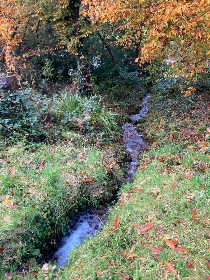 Honey Bee Cabin Llandysul المظهر الخارجي الصورة