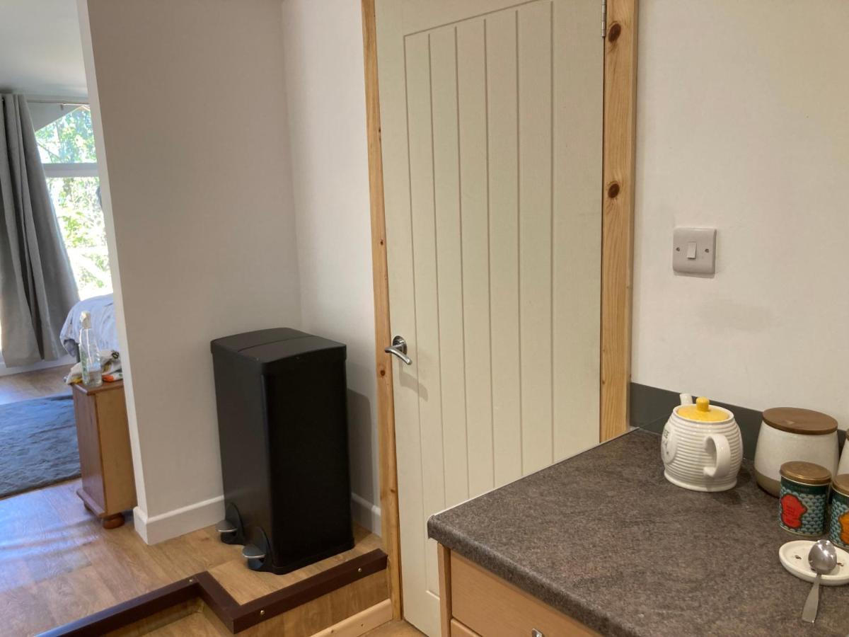 Honey Bee Cabin Llandysul المظهر الخارجي الصورة