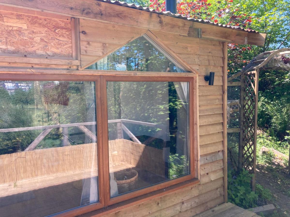 Honey Bee Cabin Llandysul المظهر الخارجي الصورة