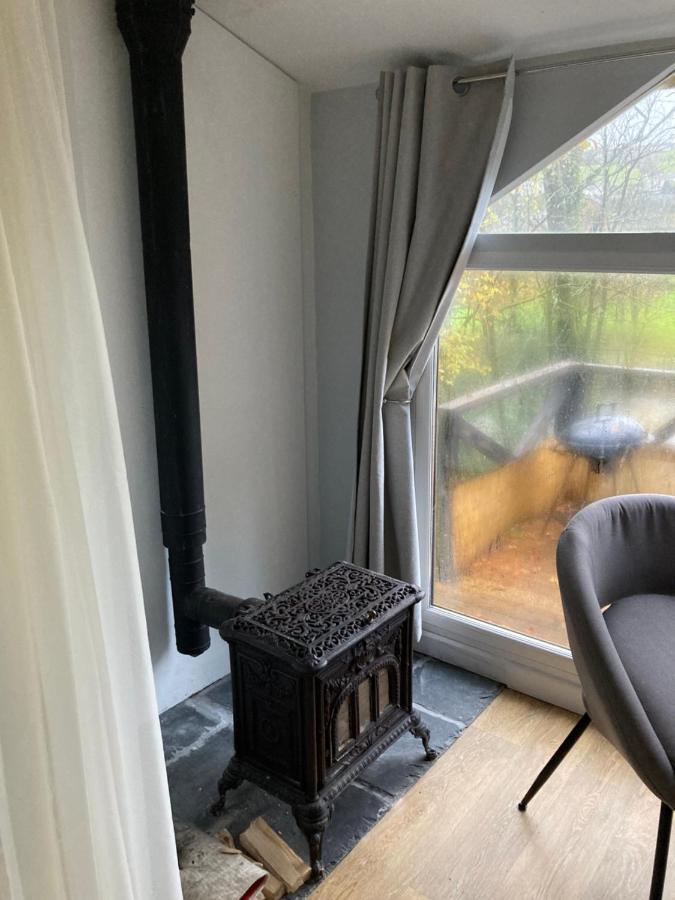 Honey Bee Cabin Llandysul المظهر الخارجي الصورة