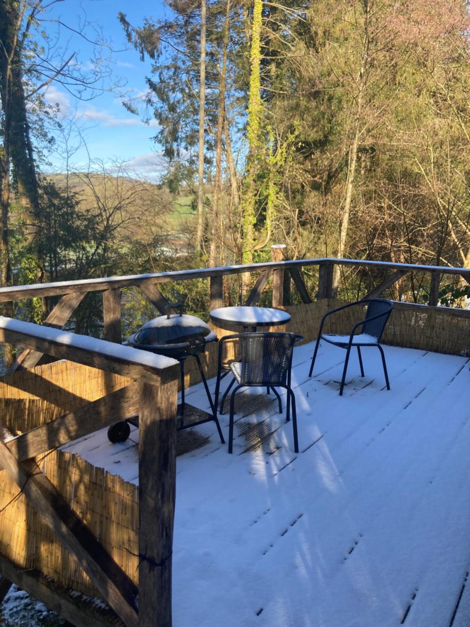 Honey Bee Cabin Llandysul المظهر الخارجي الصورة