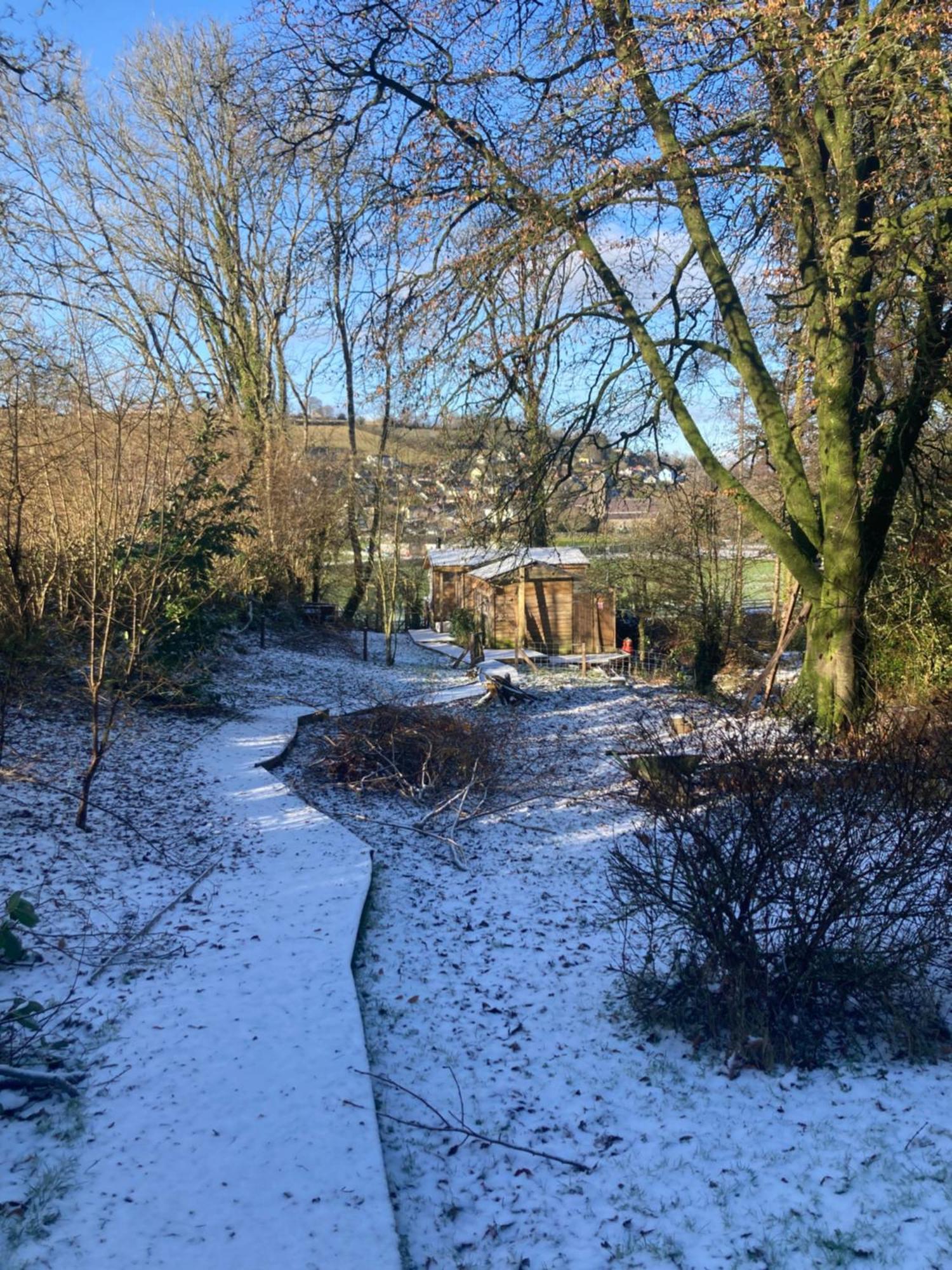 Honey Bee Cabin Llandysul المظهر الخارجي الصورة
